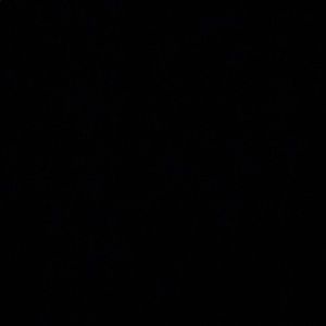 Meet your Posher, Brendan